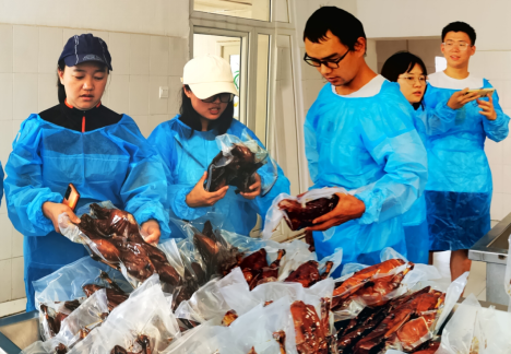 香港六台合资料免费大全