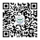 香港六台合资料免费大全
